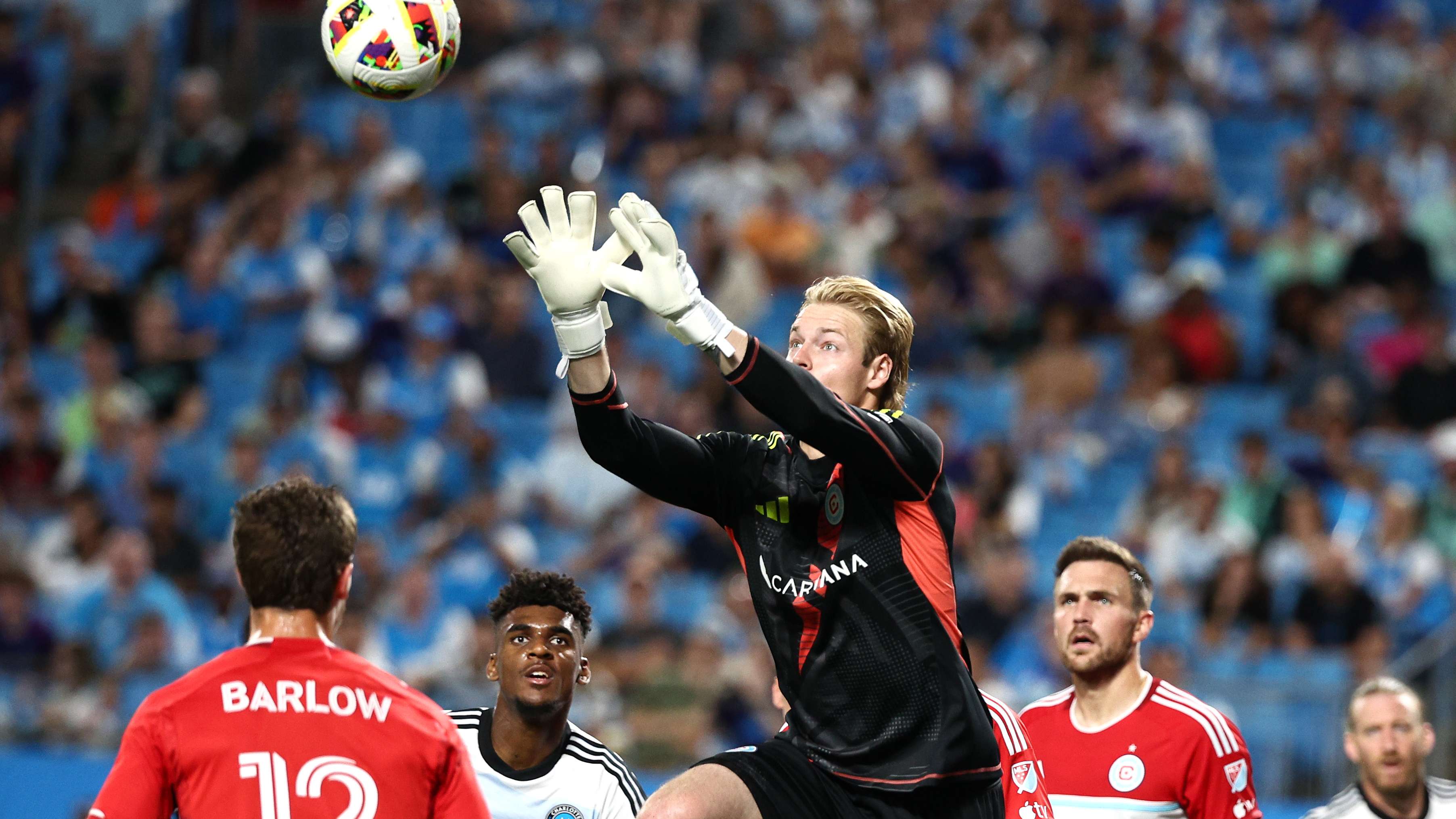 地亚国家队 地亚国家队